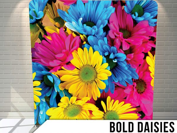 Bold-daisy