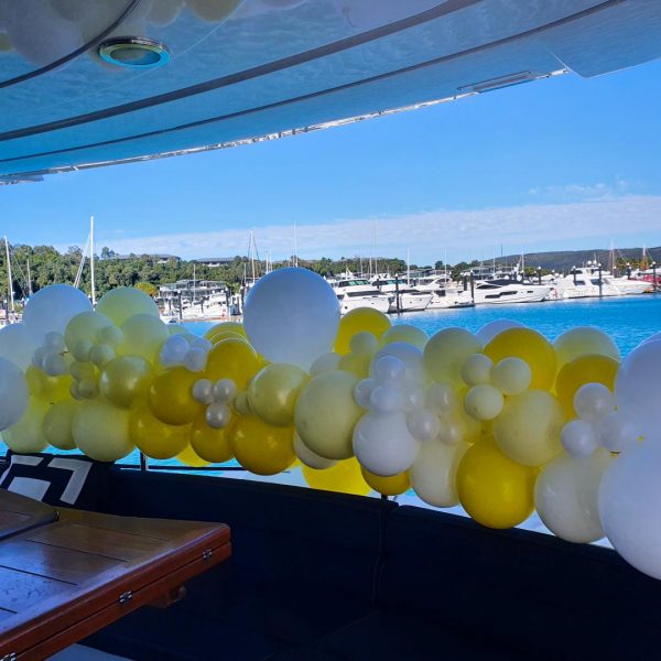 Yacht Balloon Installation $100per M(4)